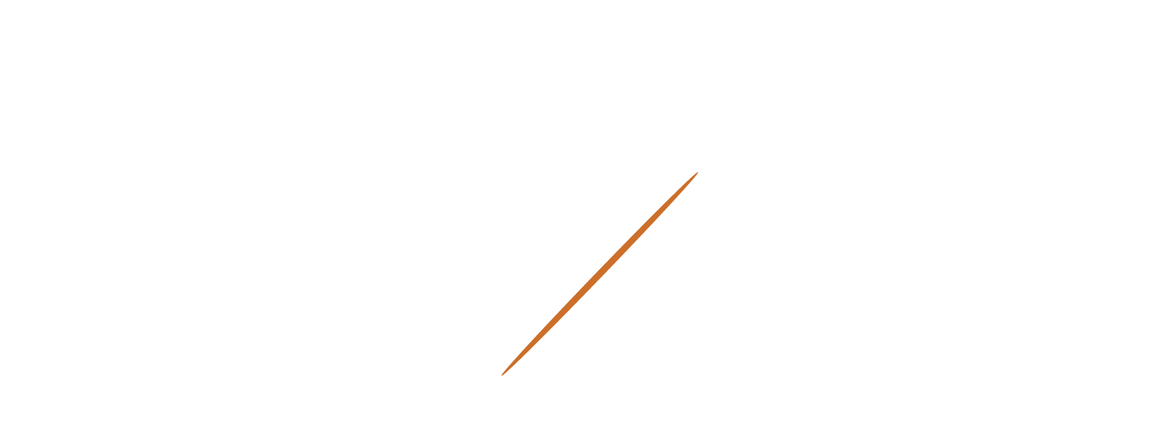LExIT — Executive Governance
